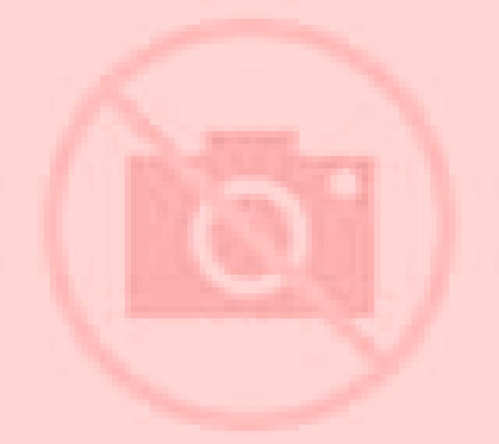 Amanda San Felipe escort