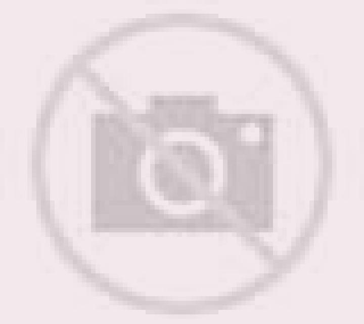 Andrea Linares escort
