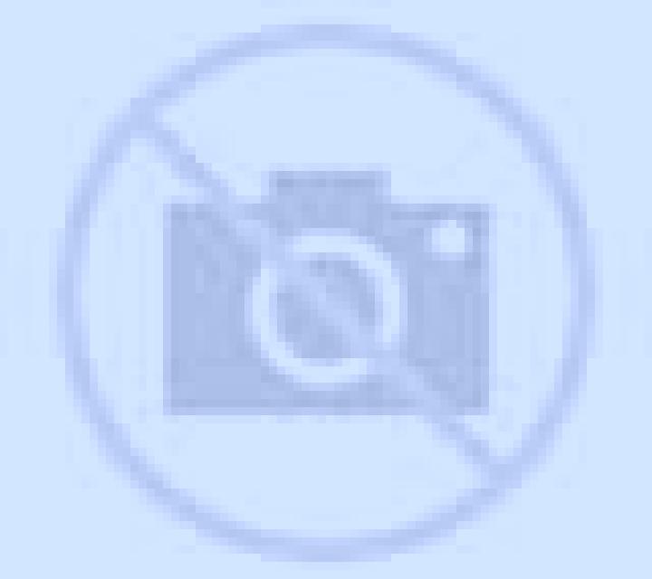 Antonella Olmue escort