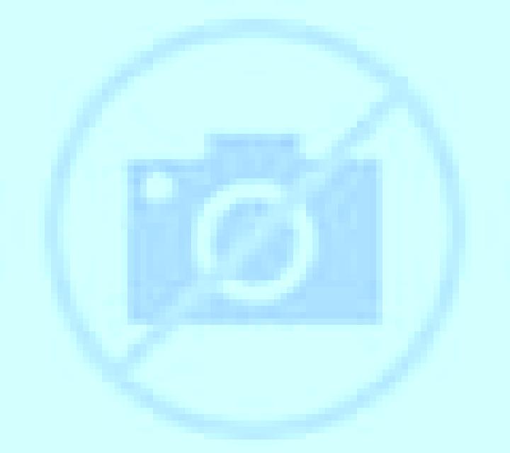 Antonia El Tabo escort