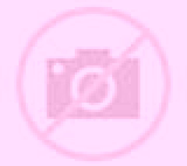 Brisa 2 Camarones escort