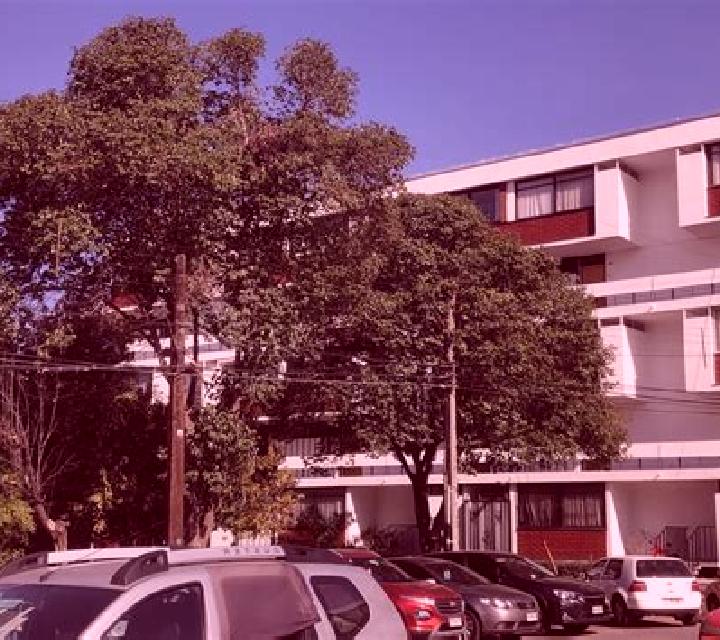 Brisa 2 Villa Presidente Frei escort
