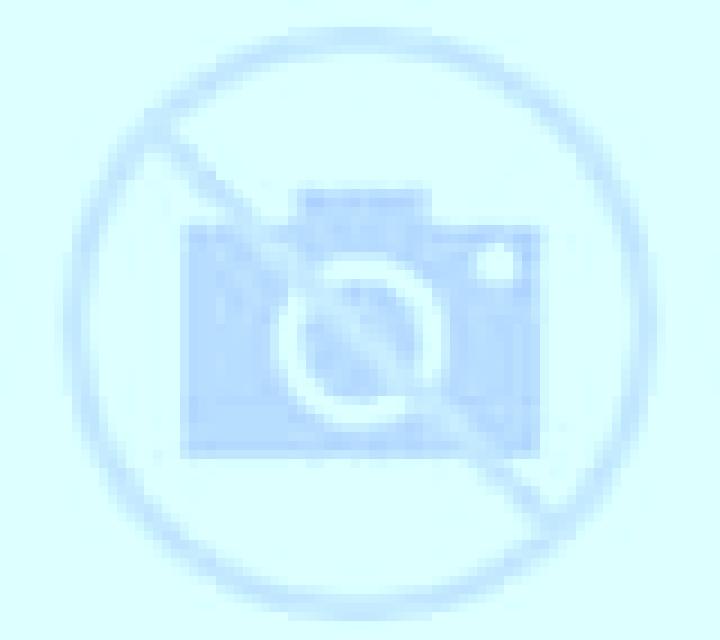 Brisa 3 Rancagua escort