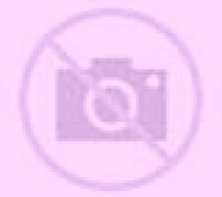 Brisa Camarones escort