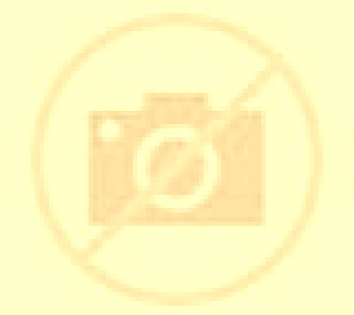 Camila 3 Pica escort