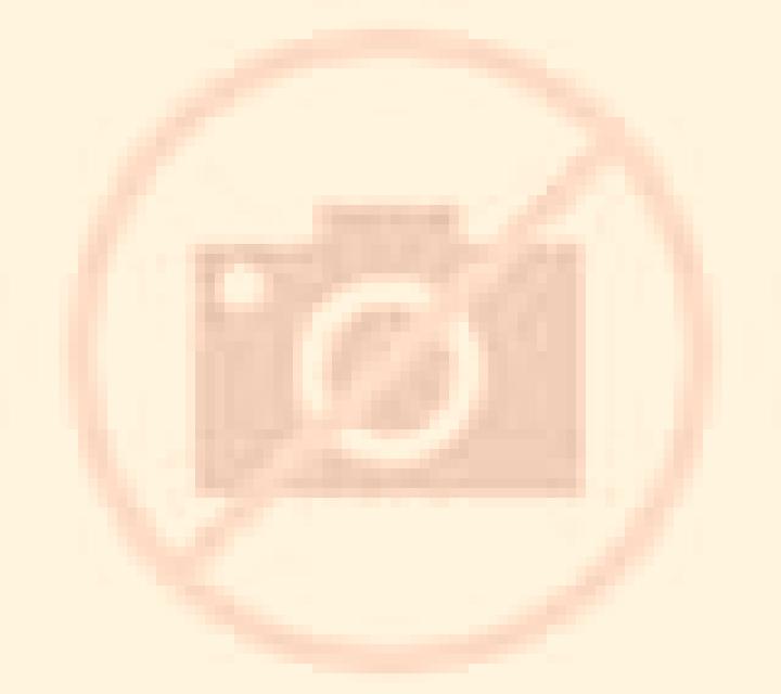 Camila Talagante escort