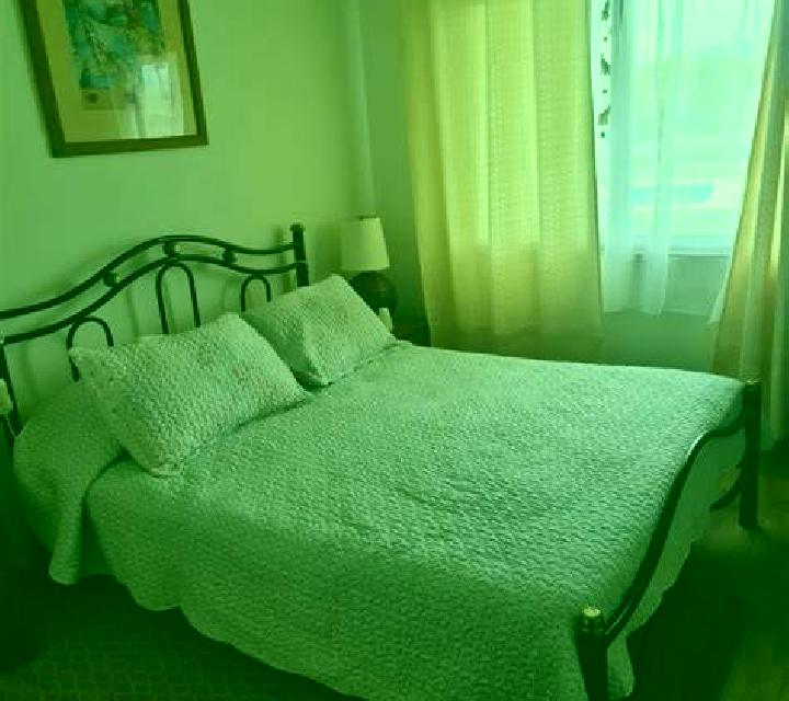 Carmen Longavi escort