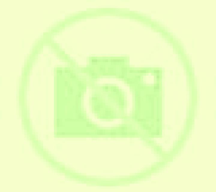 Carolina 2 Panquehue escort