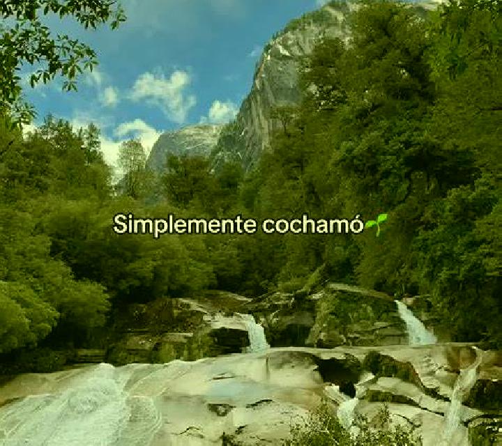 Cielo Cochamo escort