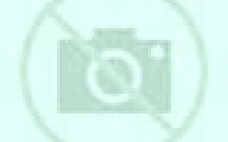 Cinthia 3 Cauquenes escort