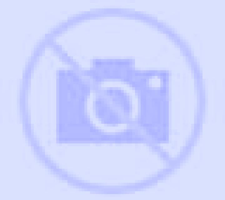 Cinthia La Pintana escort