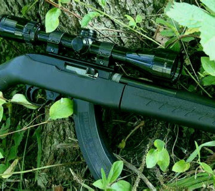 Cony 3 Quilleco escort