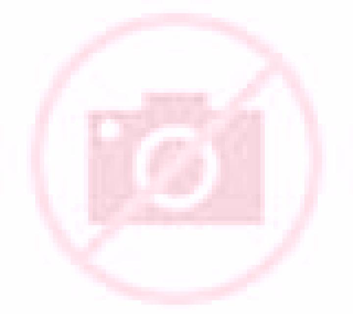 Fresia Freirina escort