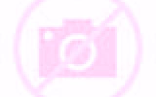 Gabriela 2 Renaico escort