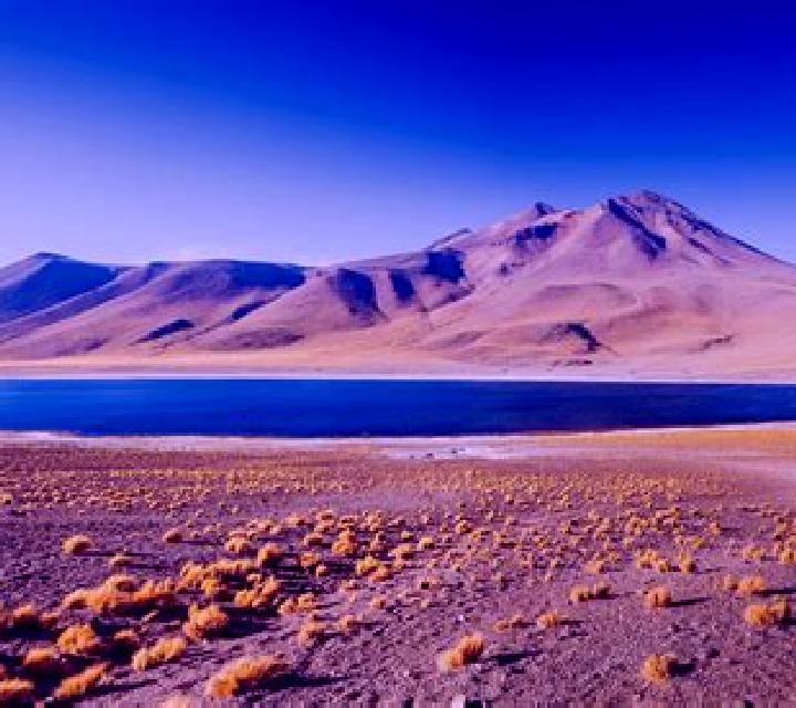 Giulia San Pedro de Atacama escort