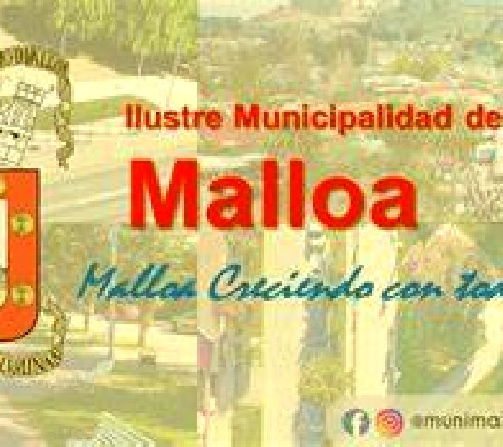 Isabela Rinconada de Malloa escort