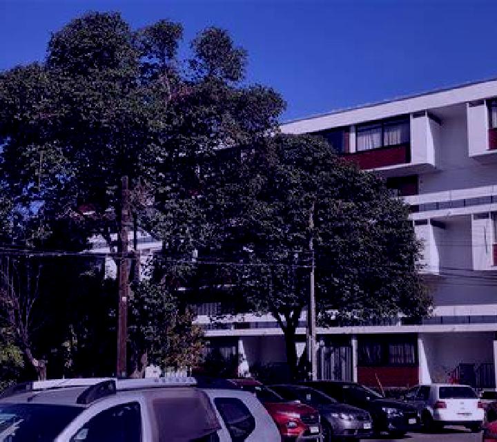 Isidora 2 Villa Presidente Frei escort