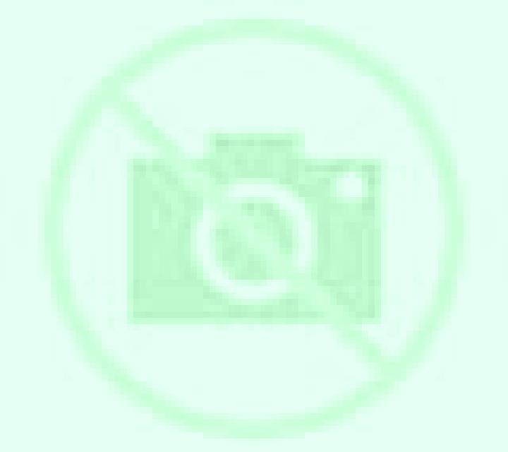 Jade Illapel escort