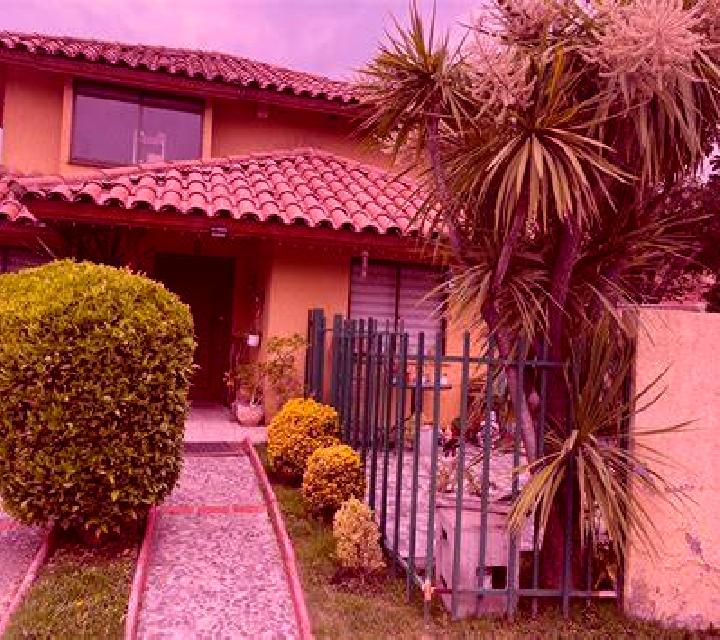 Malena 3 Panquehue escort