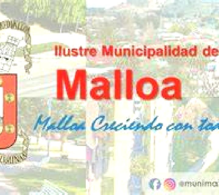 Martina Rinconada de Malloa escort
