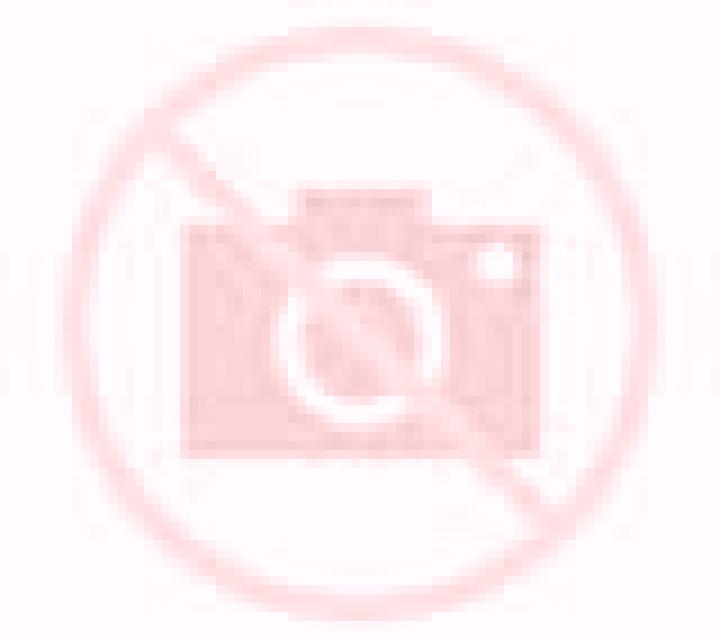 Noelia 2 Rancagua escort