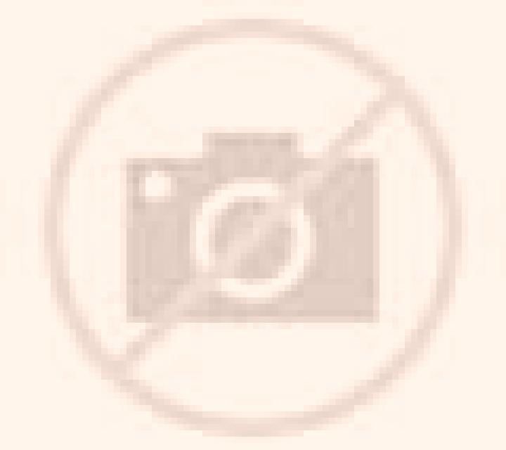 Rayén 2 Paiguano escort