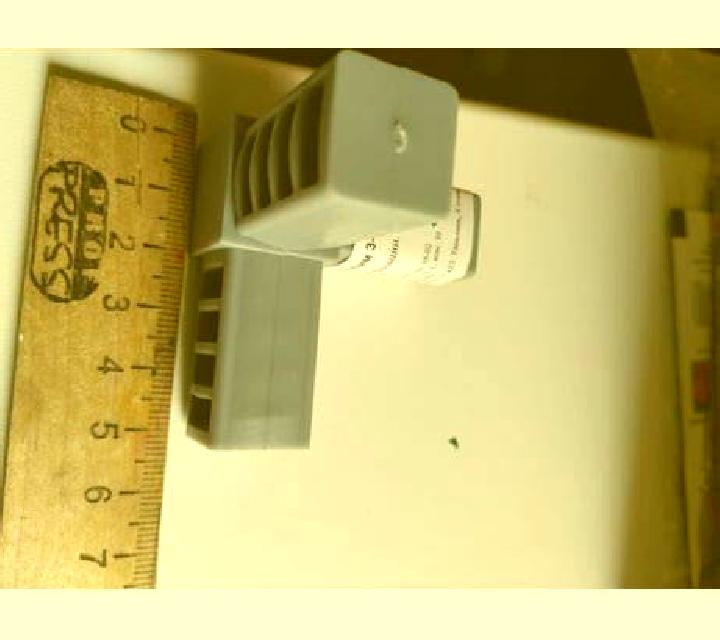 Vega 3 Freire escort
