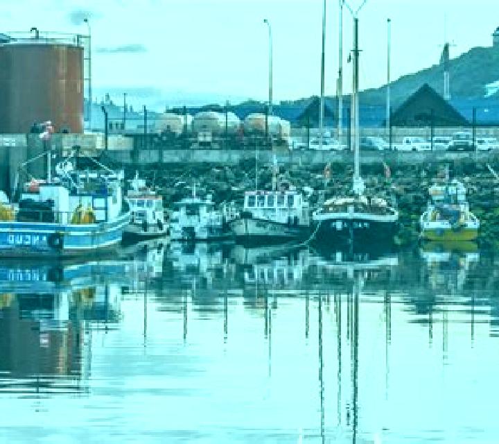 Vega Ancud escort