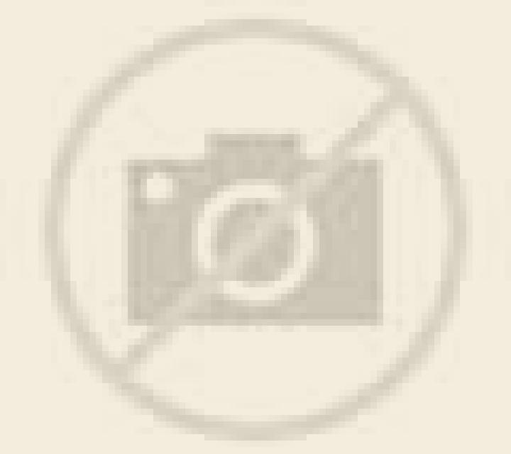 Ximena Labranza escort
