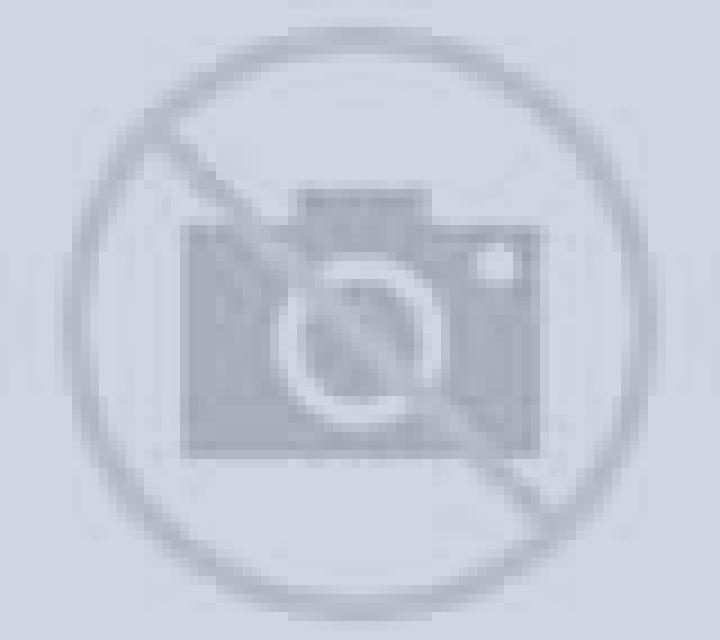Yasmin 3 Calle Larga escort